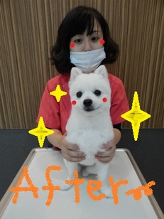 DSCN2289.jpg