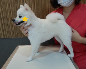 DSCN2290.jpg