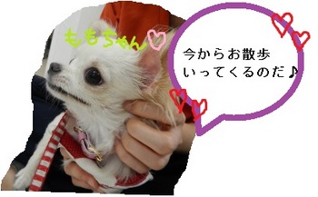 DSCN2341.jpg