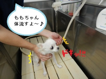 DSCN2346.jpg
