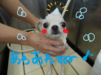 DSCN2355.jpg