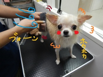 DSCN2366.jpg