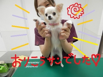 DSCN2373.jpg