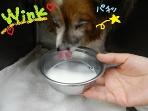 DSCN2486.jpg