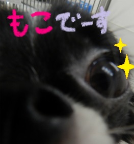 DSCN2505.jpg