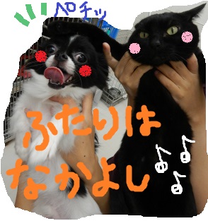 DSCN2508.jpg