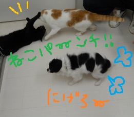 DSCN2509.jpg
