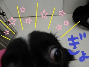 DSCN2512.jpg