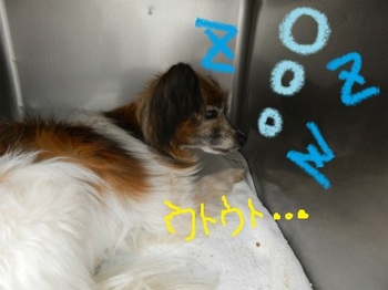 DSCN2541.jpg