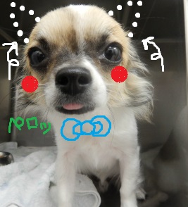 DSCN2743.jpg