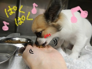DSCN2747.jpg