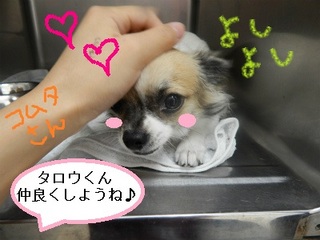 DSCN2751.jpg