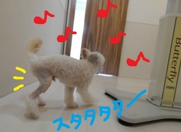 DSCN2772.jpg