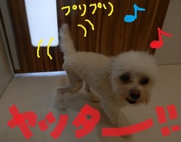 DSCN2773.jpg