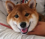 IMG_0267.jpg