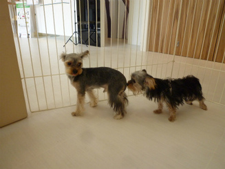 P1120125.jpg