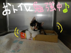 DSCN0020.jpg