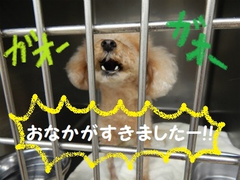 DSCN0113.jpg