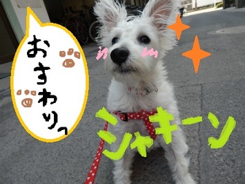 DSCN2810.jpg