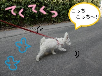 DSCN2811.jpg