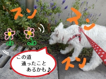 DSCN2813.jpg