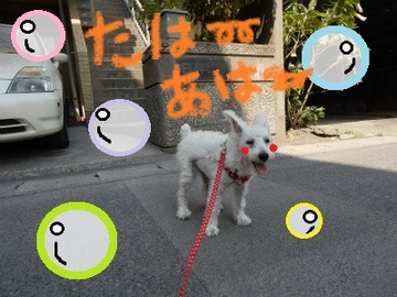 DSCN2815.jpg