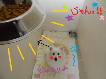DSCN3270.jpg
