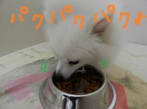 DSCN3272.jpgのサムネール画像