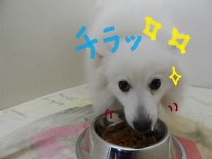 DSCN3277.jpg
