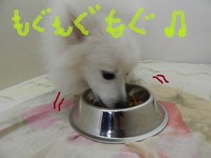 DSCN3278.jpg