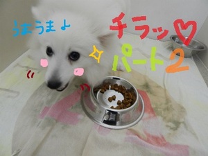 DSCN3281.jpg