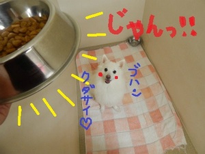 DSCN3282.jpg