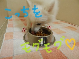 DSCN3283.jpg