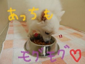 DSCN3284.jpg