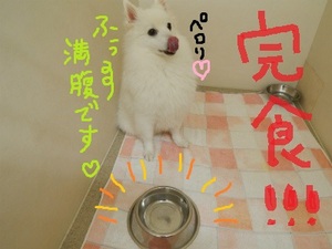 DSCN3303.jpg