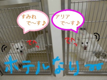 DSCN3304.jpg