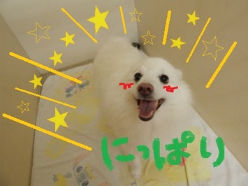 DSCN3325.jpg