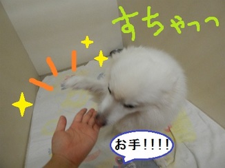 DSCN3327.jpg