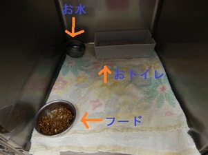 DSCN3360.jpg