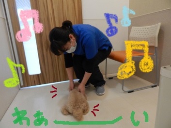 DSCN3407.jpg
