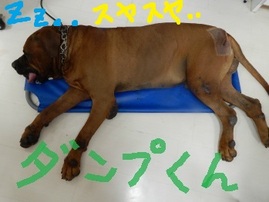 DSCN3476.jpg