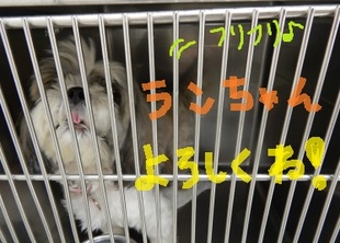 DSCN3476.jpg