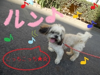DSCN3484.jpg