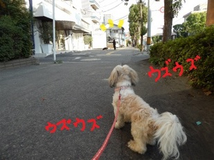 DSCN3489.jpg