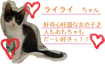 DSCN3495.jpg