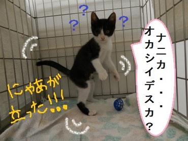 DSCN3498.jpg