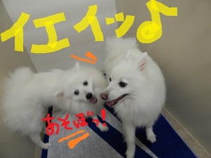 DSCN3499.jpg