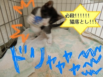 DSCN3507.jpg
