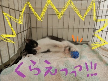 DSCN3512.jpg