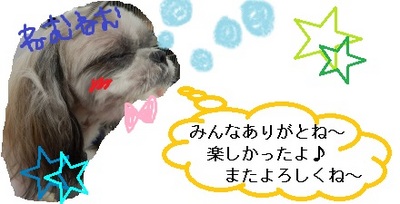 DSCN3535.jpg